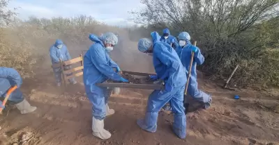 El Choyudo