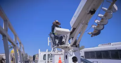 Guardias operativas