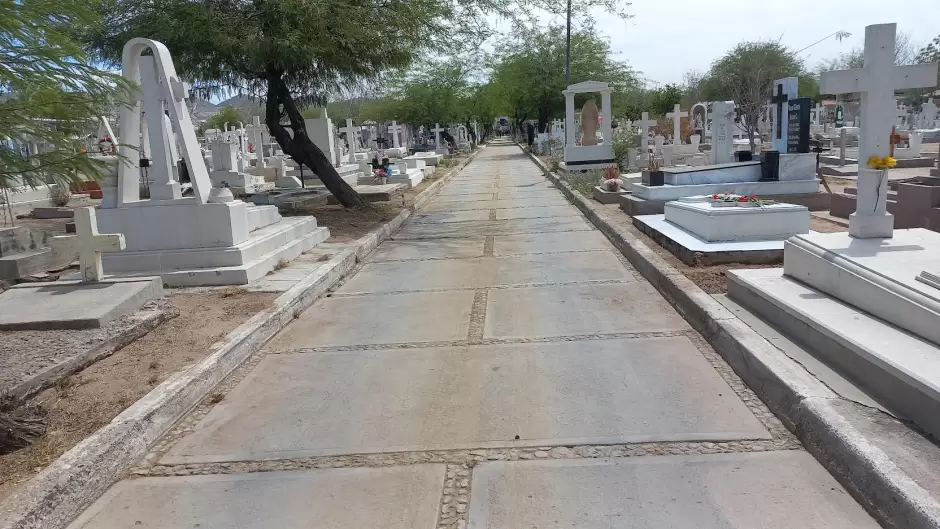 Reforestaci�n en el Pante�n Y��ez