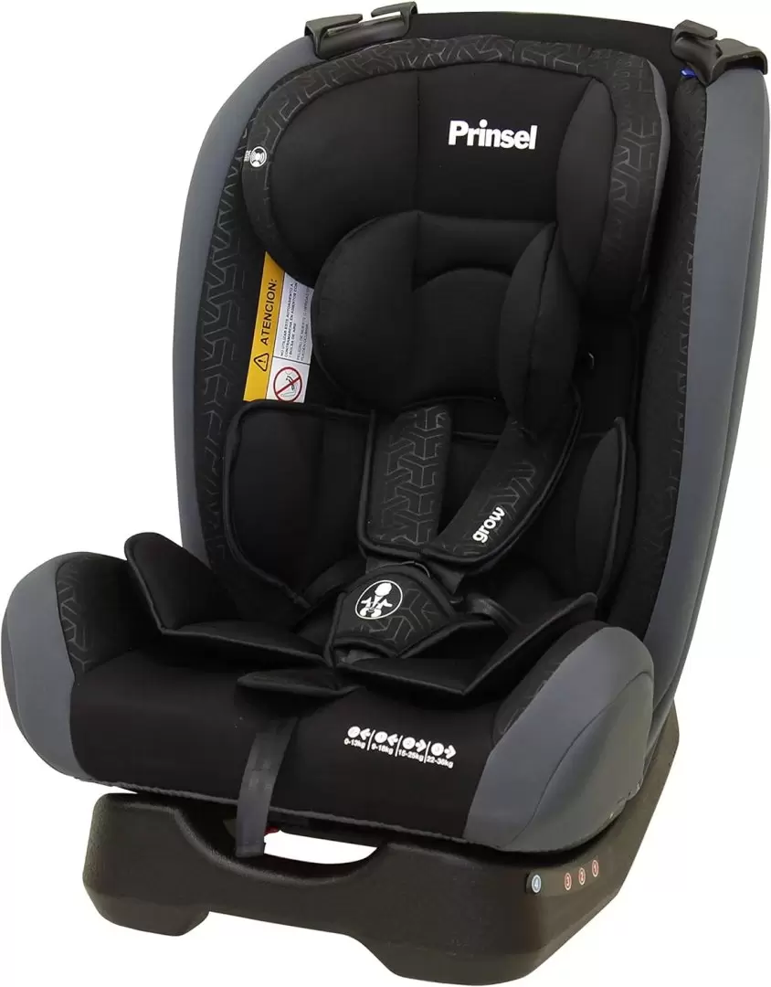 Prinsel