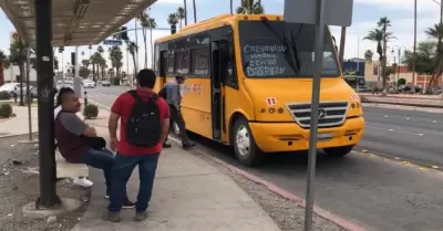 transporte pblico masivo Mexicali