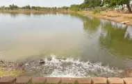 Realiza promotora inmobiliaria rellenado de agua en la Laguna del Ninari
