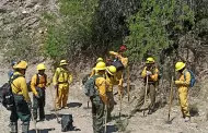 Se han registrado 17 incendios forestales en lo que va del ao en Sonora