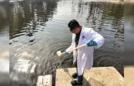 Evalan calidad del agua en lagos de Parque Morelos y Parque de la Amistad