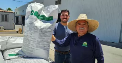 Trabajan para impulsar la rentabilidad del maz en el Valle de Mexicali
