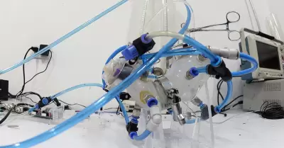 Est�mago artificial, creado por cient�ficos de la UNAM