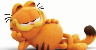 Garfield