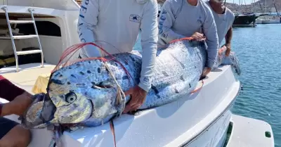 Pez remo encontrado por pescadores deportivos en el Mar de Cort�s