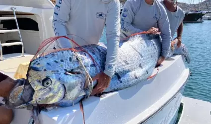 Pez remo encontrado por pescadores deportivos en el Mar de Cort�s