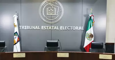 Tribunal Estatal Electoral de Sonora