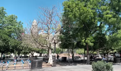Pronostican valores m�ximos superiores a los 45 grados cent�grados en regiones d
