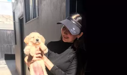 Adopcion mascotas