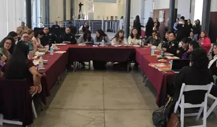 Organiza Inmujer BC mesas de an�lisis para elaboraci�n del "Diagn�stico Nacional