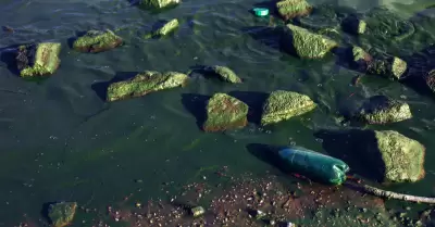 Contaminacin binacional de ocanos