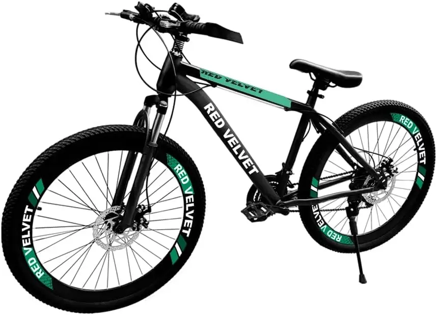 Bike Teche R29