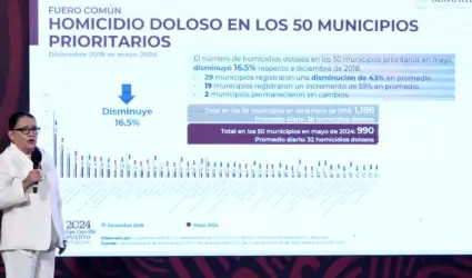 Rosa Icela Rodr�guez, secretaria de Seguridad.