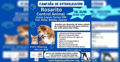 Invita Gobierno Municipal y Baja Spay Neuter a la Jornada de Esterilizaci�n grat