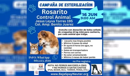 Invita Gobierno Municipal y Baja Spay Neuter a la Jornada de Esterilizaci�n grat