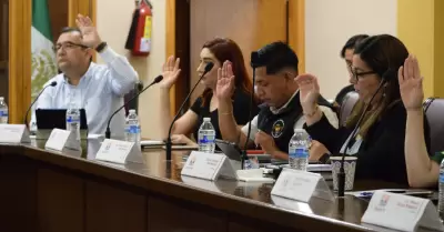 Aprueba Cabildo reformas al Reglamento de Protecci�n y Control de Animales Dom�s