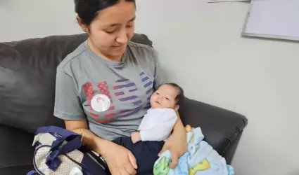 Programa de atenci�n pregestacional, prenatal y puerperio