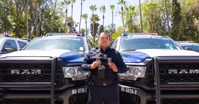 Decomiso de armas de fuego en siete d�as