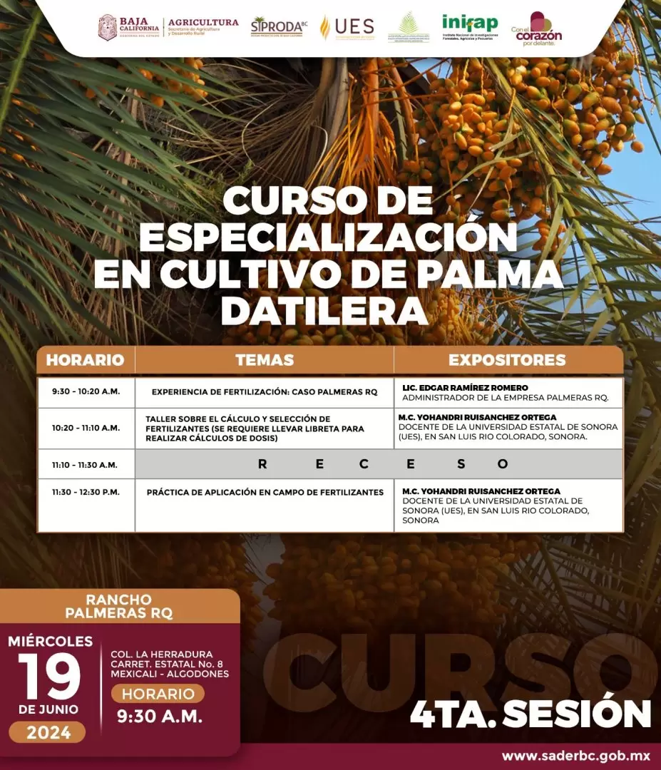 Curso especializado en el manejo de palma datilera