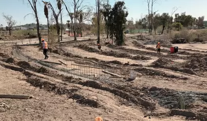Trabajos de rehabilitaci�n en La Sauceda