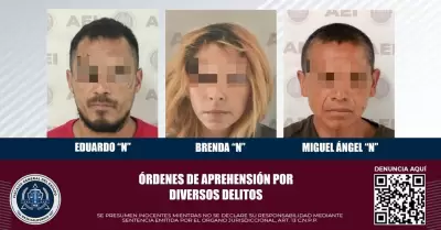 Robo, violencia familiar y dao en propiedad ajena