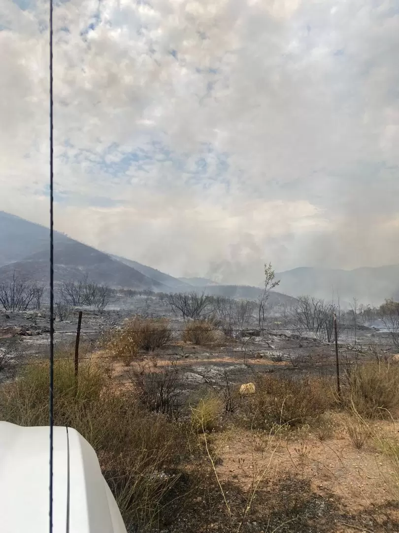 Atienden bomberos, militares y voluntarios incendio en el Valle de Guadalupe