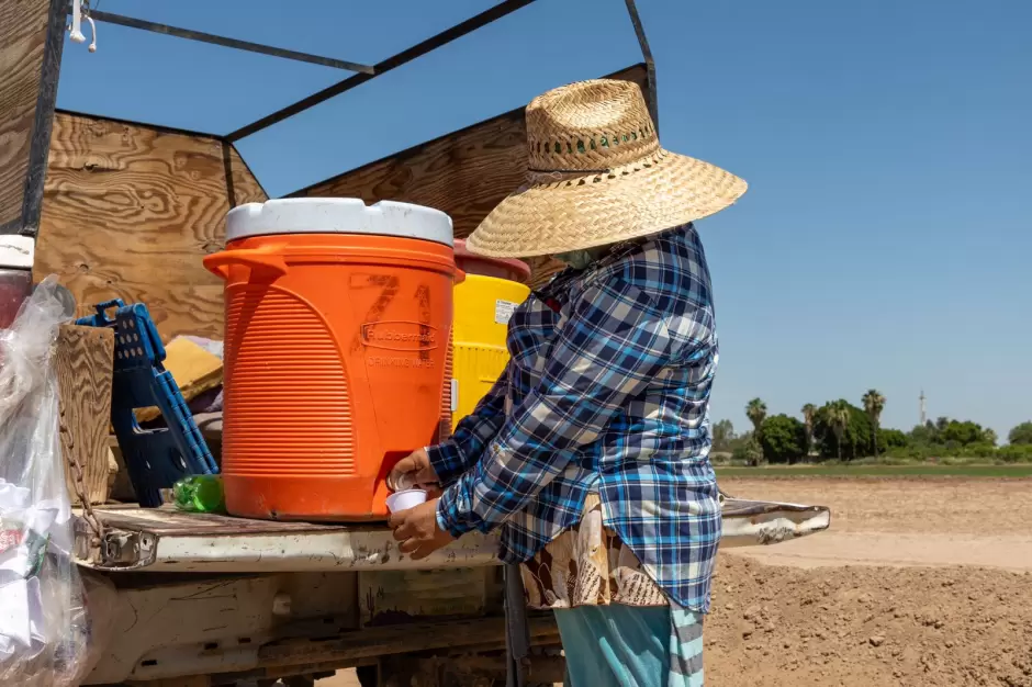 Inspeccin en empresas agrcolas del Valle de Mexicali