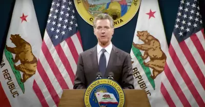 Gobernador Gavin Newsom