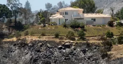 Incendios forestales