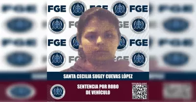Responsbale del delito de robo de veh�culo