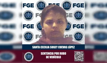 Responsbale del delito de robo de veh�culo