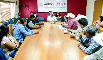 Atendi representante de Agricultura productores de trigo del Valle de Mexicali