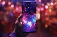 �Qu� d�a de enero comienza el registro de l�neas telef�nicas?