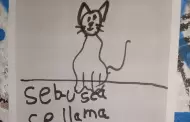 FOTOS Nio dibuja carteles para encontrar a su gatita en Hermosillo