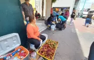 Vendedores de pitayas piden que los dejen trabajar