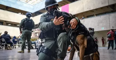 Perros de la polic�a municipal adiestrados