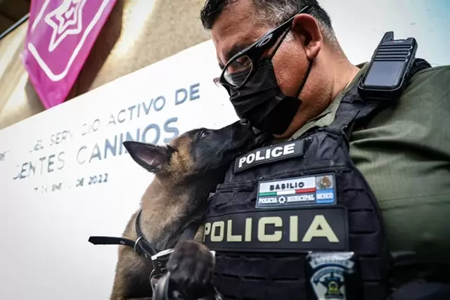 Perros de la polic�a municipal adiestrados
