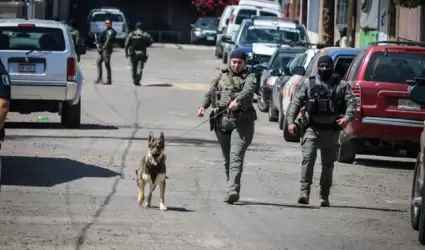 Perros de la polic�a municipal adiestrados