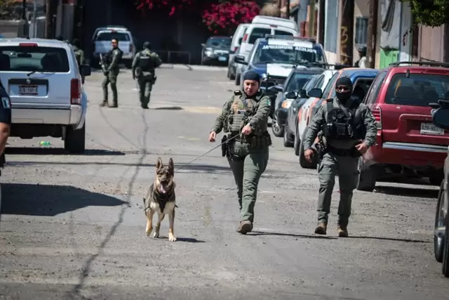 Perros de la polic�a municipal adiestrados