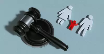 C�digo Nacional de Procedimientos Civiles asuntos familiares derecho juez juicio