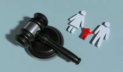 C�digo Nacional de Procedimientos Civiles asuntos familiares derecho juez juicio