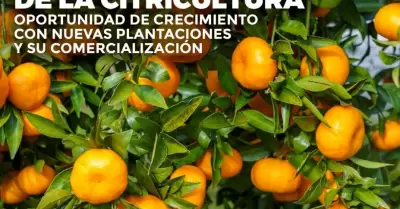Pl�tica Citricultura
