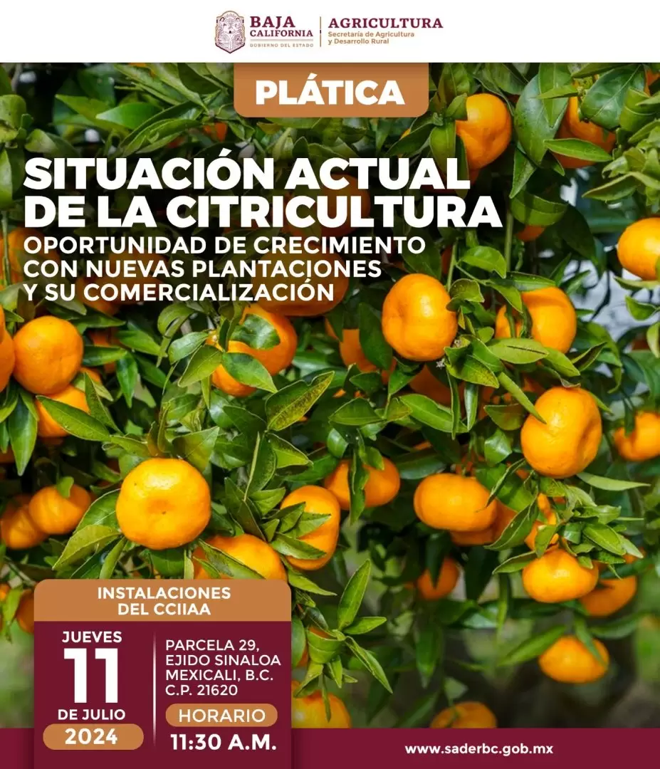 Pl�tica Citricultura
