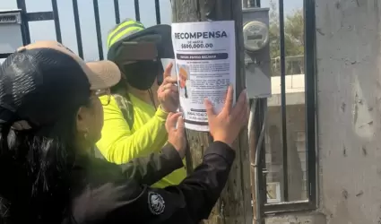 Jornada de b�squeda