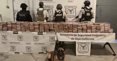 Aseguran m�s de 400 kg de coca�na en Tijuana