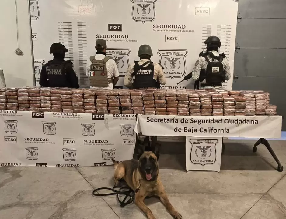 Aseguran m�s de 400 kg de coca�na en Tijuana