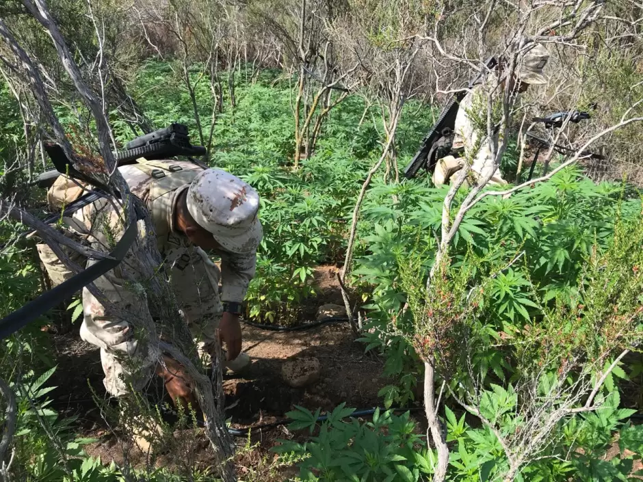 Ej�rcito Mexicano